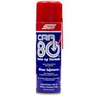 Descarbonizante Aerosol 300ml Car80