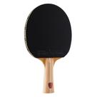 Desempenho do torneio de ping pong Paddle JOOLA Omega Control