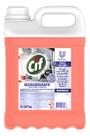 Desengordurante cif concent 5l unilever