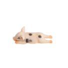 Desenho animado de resina 3D Cute Sleeping Pig com ímã de geladeira Desenho animado de resina 3D Cute Sleeping Pig com ímã de geladeira