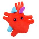 Design anatômico de micróbios gigantes do órgão cardíaco de pelúcia 6 cm