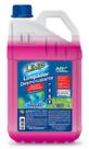 Desincrustante Desengraxante Desengordurante Limpeza Pesada Biodegradável 05 lt