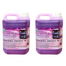 Desincrustante Mag Inox LB Ativado 5 Litros 2 Unidades