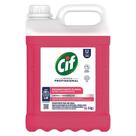 Desinf cif conc. floral 5l unilever