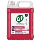 Desinfetante 05l cif concentrado floral