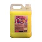 Desinfetante Aqualiv Plus Limpeza Profunda Flor Do Campo 5L