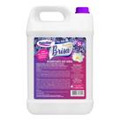 Desinfetante Bactericida Brisa Valência 5 Litros Desinfetante Bactericida Brisa Valência 5 Litros