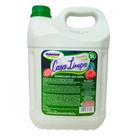 Desinfetante Bactericida Casa Limpa Valência 5 Litros