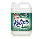 Desinfetante Bactericida Kalipto Eucalipto Bombril 5L