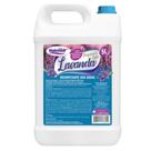 Desinfetante Bactericida Lavanda Valência 5 Litros