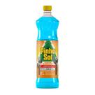 Desinfetante Diluível Pinho Sol Perfumado Flor de Mandacaru 1000ml Desinfetante Diluível Pinho Sol Perfumado Flor de Mandacaru 1000ml
