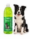 Desinfetante Elimina Odor Xixi Fezes 2l Pet Clean Citronela