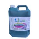 Desinfetante geovana galao 5l climpa