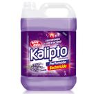 Desinfetante Lavanda 5L Kalipto