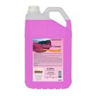 Desinfetante LIMPBRAS 5L