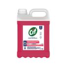 Desinfetante Profissional Cif 5L Galão Bactericida Rende 200L Floral Marine Limpeza Pisos Banheiro Desinfetante Profissional Cif 5L Galão Bactericida Rende 200L Floral Marine Limpeza Pisos Banheiro