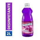 Desinfetante violex bactericida uso geral 2litros - Barbarex