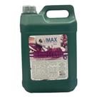 Desinfetante vmax floral 5l.