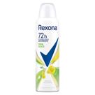 Desodorante Antitranspirante Aerosol Feminino Rexona Erva Doce 150ml Desodorante Antitranspirante Aerosol Feminino Rexona Erva Doce 150ml