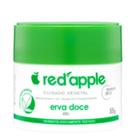 Desodorante Antitranspirante Creme Erva Doce 55G - Red Apple