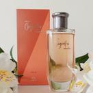 Desodorante Colônia Biografia Caminhos Feminino - 100ml Desodorante Colônia Biografia Caminhos Feminino - 100ml
