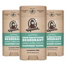 Desodorante Dr. Squatch Natural Rainforest Rapids 80 ml para homem, pacote com 3 Desodorante Dr. Squatch Natural Rainforest Rapids 80 ml para homem, pacote com 3