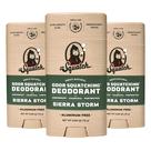 Desodorante Dr. Squatch Natural Sierra Storm Men 78 ml, pacote com 3