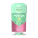 Desodorante Mitchum para Mulheres Power Gel Antitranspirante 65 ml Pacote com 2