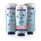 Desodorante Secret Sem Alumínio - Aroma de Rosa (70ml) - Kit com 3 Unidades Desodorante Secret Sem Alumínio - Aroma de Rosa (70ml) - Kit com 3 Unidades