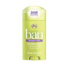 Desodorante Stick Invisible Solid Shower Fresh 24h Ban 73g