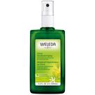 Desodorante Weleda Citrus 100mL (pacote de 2)