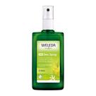 Desodorante Weleda Citrus 100mL