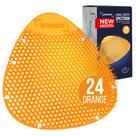 Desodorizador de tela de mictório SPARGOS Orange Scent, pacote com 24