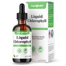 Desodorizante interno Liquid Chlorophyll Drops LIQUIDHEALTH Desodorizante interno Liquid Chlorophyll Drops LIQUIDHEALTH