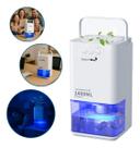 Desumidificador De Ar Ambiente Eletrico Antimofo 1400ml Portátil Importway Branco