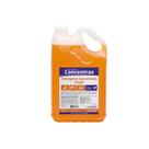 Detergente Clegel 5L Concentrax
