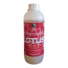 Detergente Concentrado Tapete Carpete Fix Flot G&S 1l