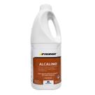 Detergente Desincrustante Alcalino 2L Finisher
