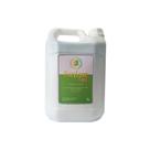 Detergente Enzimático Enzylase 5L Gold para Caixa de gorduras, Ralos, tubulações, Banheiro químico
