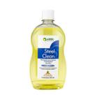 Detergente Limpeza Instrumental Cirúrgico Odontológico Steel Clean 500ml Asfer