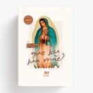 Diário Bíblico 2027 - Capa Dura - Nossa Senhora de Guadalupe