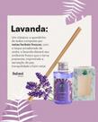 Difusor Aromatizador Aromatizante De Ambientes 200ml - Pantanal Aromas