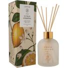 Difusor de Perfume Lenvie Citrus Verbena Arabesc Ideal para Ambientes 200ml