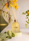 Difusor de perfume Vanilla Bloom PatBO - 200 ml