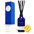 Difusor de Varetas Xcleen 110ml Jacinto Peônia Cítrico Difusor de Varetas Xcleen 110ml Jacinto Peônia Cítrico