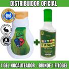Diga Adeus às Dores: Gel Nocauteador + Fitogel Gel de Arnica 10 Ervas + Mini Massageador Portátil Recarregável