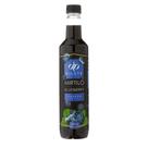 Dilute Xarope Mirtilo 500mL Soda italiana Drink