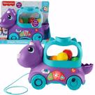 Dino Bolinhas Divertidas Com Luz e Som 12m+ HNR49 Mattel
