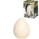 Dino Ovo Surpresa 6 cm - DM Toys - Dino Ovo Surpresa 6 cm - DM Toys -