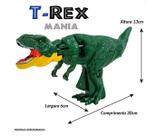 Dinossauro Brinquedo Infantil Realista Plástico Cores Vibrantes 3 Anos Aprendizado Lúdico AN2410